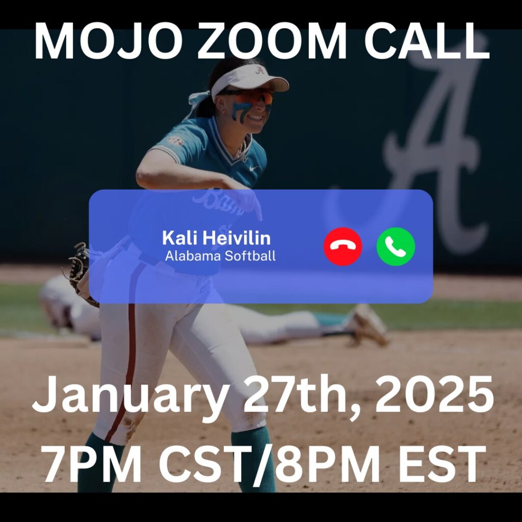 Kali Heivilin Zoom Call Series poster